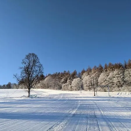 Holzspan Appartement Seiffen