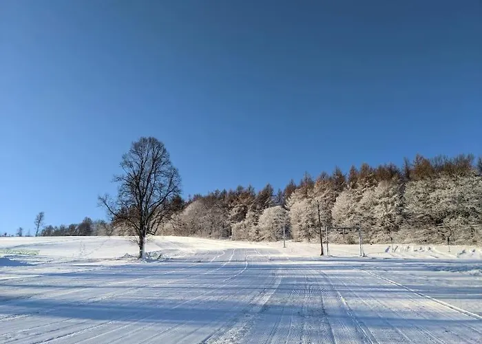 Holzspan Apartment Kurort Seiffen/Erzgebirge